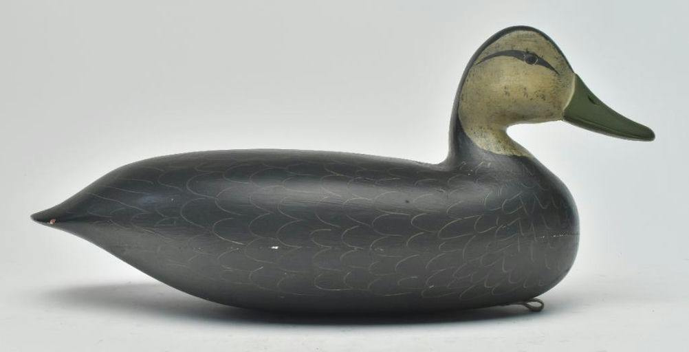 Harry V. Shourds – Black Duck – 2023