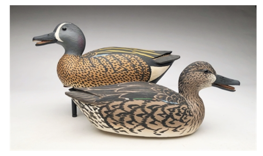 Grayson Chesser – Rare Pair of Calling Blue Wing Teal – 2019