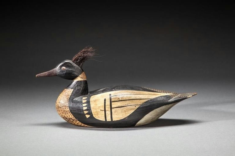 Mark McNair – Hairy Head Merganser – 2016
