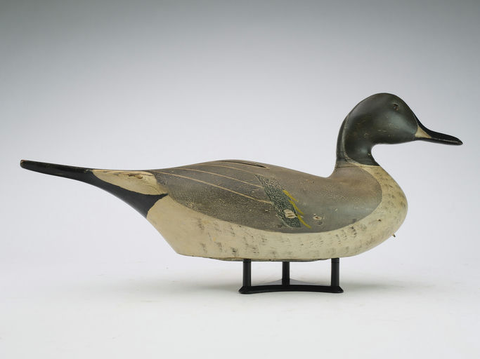 Charles Bergman – Pintail – 2024