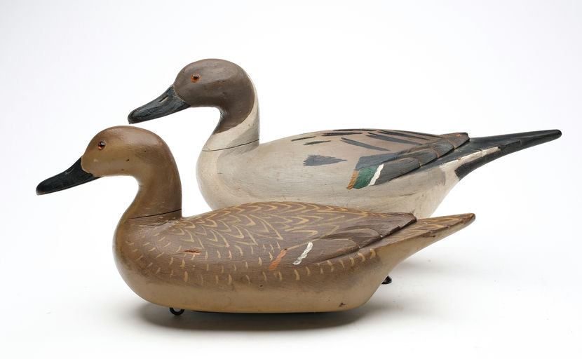 Richard Janson – Pair of Pintail – 2026