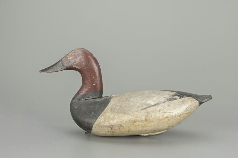 Taylor Boyd – Canvasback Drake – 2018