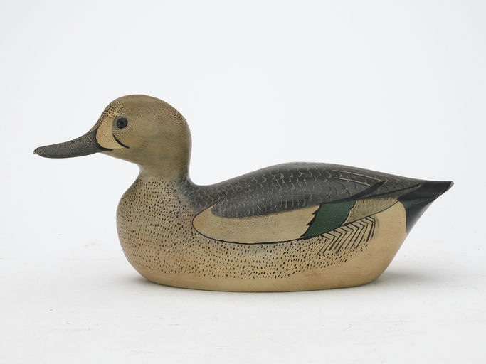 George Boyd – Blue-winged Teal – 2024