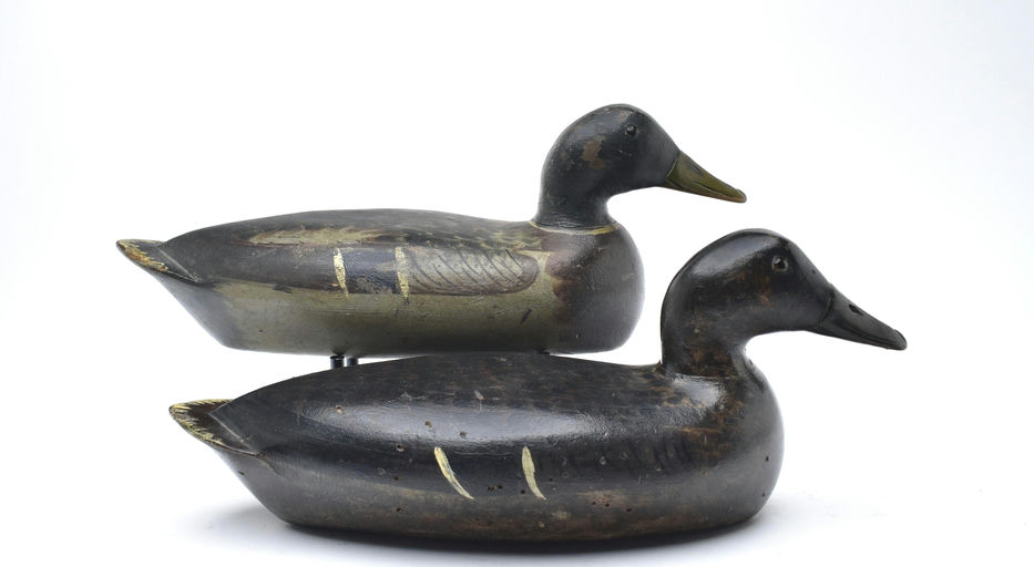Bert Graves – Mallard – 2025