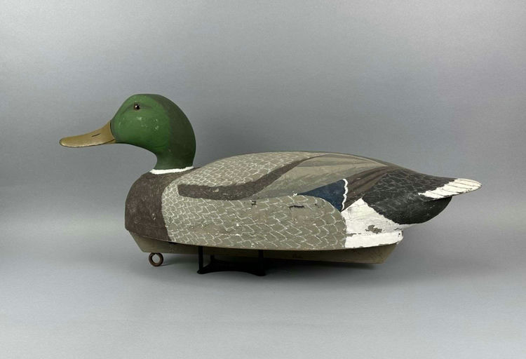 Marshall Chaloupek — Mallard Drake