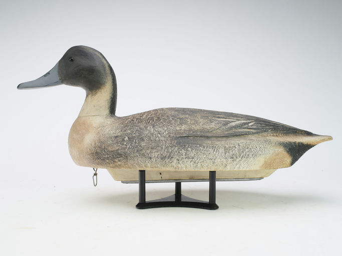 Ben Schmidt – Pintail Drake – 2024