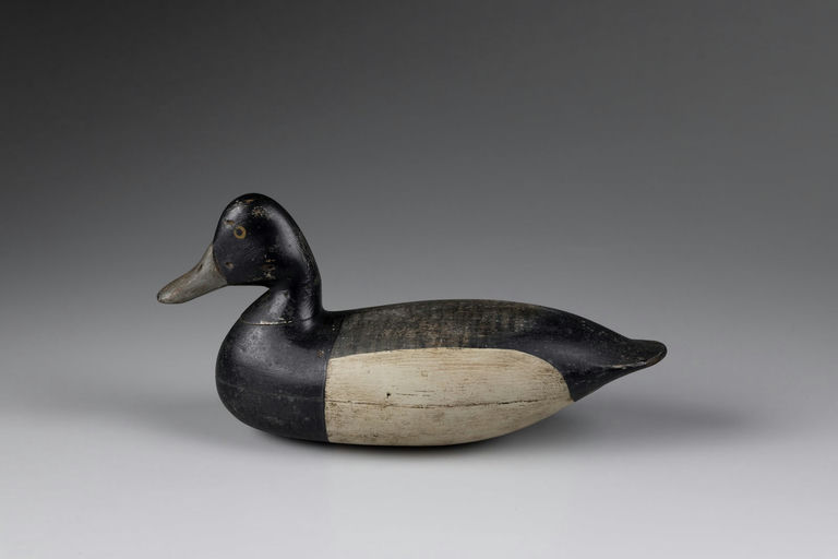 Harry V. Shourds – Bluebill – 2026