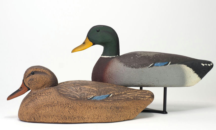 Bill Enright — Personal Collection Mallard Pair