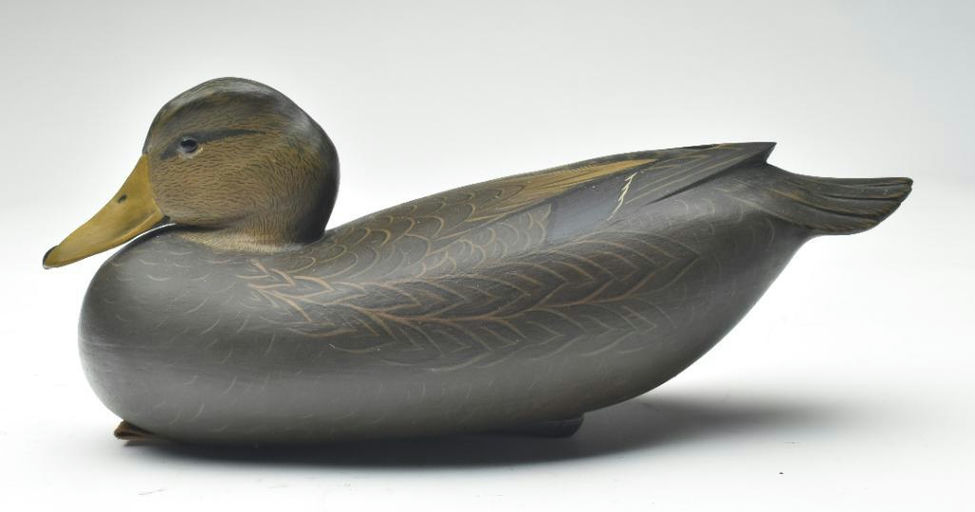 Bob White – Black Duck – 2023