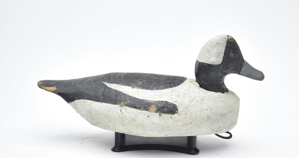 Miles Hancock – Bufflehead – 2025
