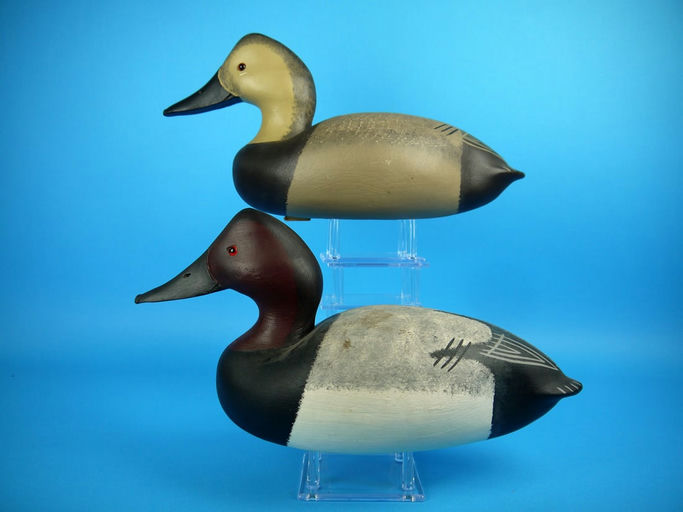 Charles R. Birdsall – Canvasback Pair – 2026
