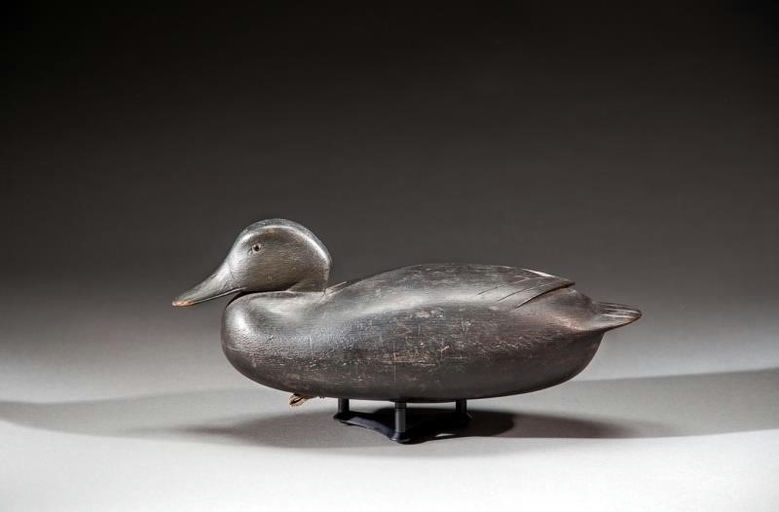 Joe King – Black Duck – 2016