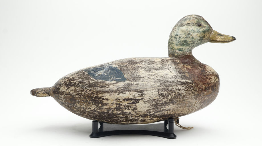 Ira Hudson – Mallard – 2026