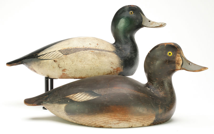 Ward Brothers – Pair of bluebills – 2026
