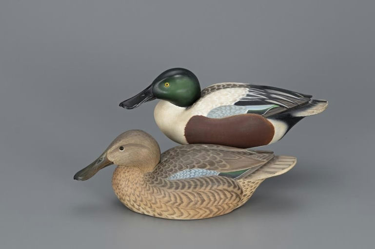 James West – Shoveler Pair – 2019