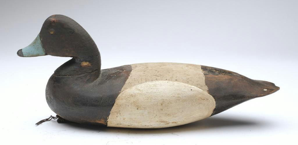 Charles Birch – Scaup – 2023