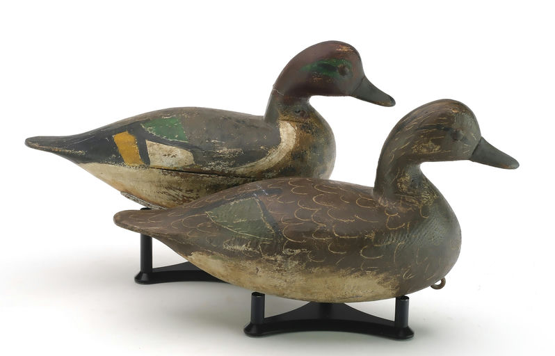 Reggie Birch – Green-winged Teal – 2024