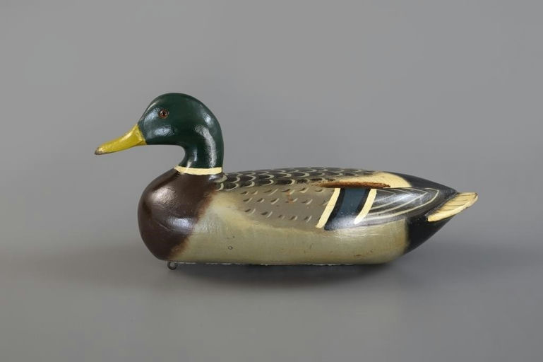 Charles Perdew – Mallard Drake – 2025