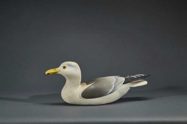 Ward Brothers – Herring Gull – 2017