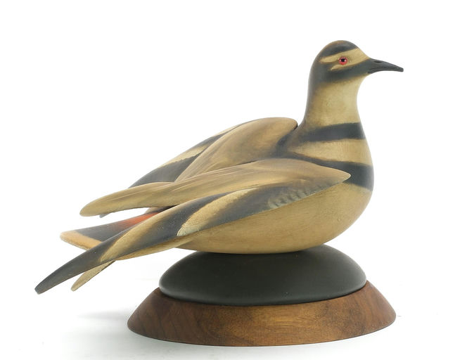 Sean Sutton – Killdeer In A Feigning Pose Without Stretched Wings – 2024