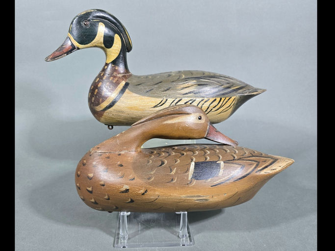 Jim Slack — Wood Duck