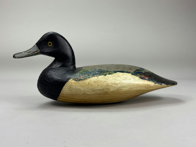 Doug Jester – Scaup – 2026