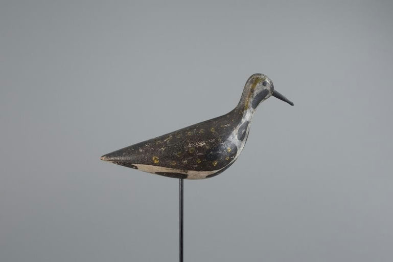 Parker Hall – Golden Plover – 2025