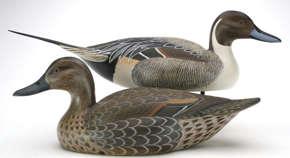 John McLoughlin – Pintail – 2024