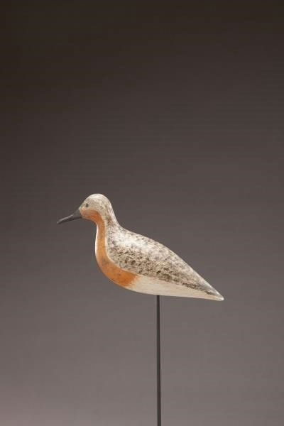 Harry V. Shourds – Robin Snipe – 2013