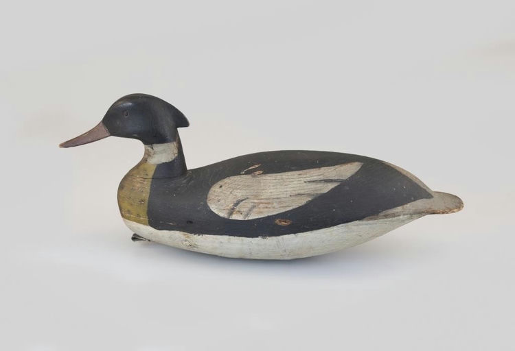 Levi Rhodes Truex – Early Merganser Drake – 2026