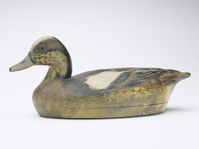 Ben Schmidt – Widgeon – 2024