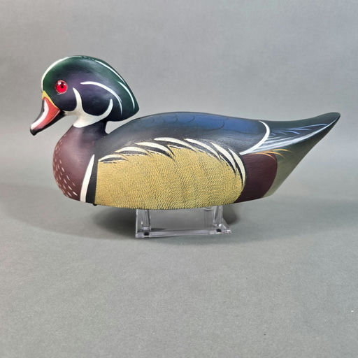 Michael Braun – Wood duck – 2026