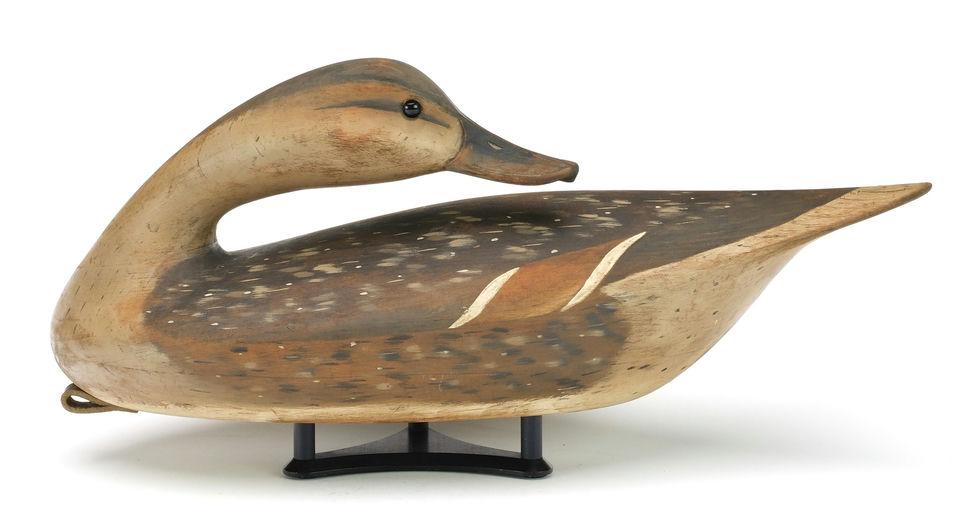 Pete Peterson – Preening Pintail Hen – 2024