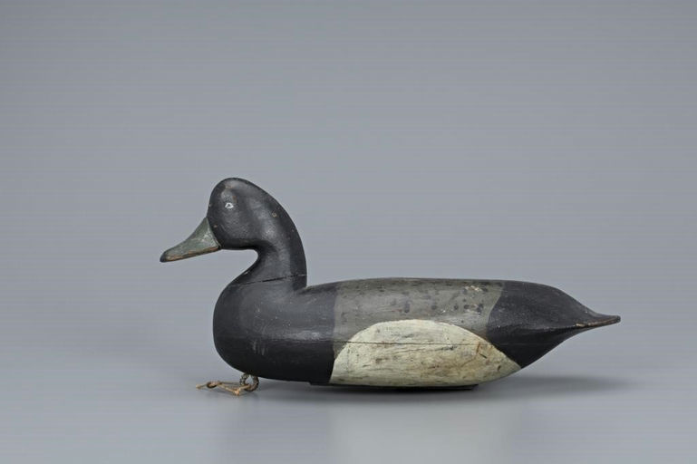 Charles Birch – Hollow Bluebill Drake – 2019