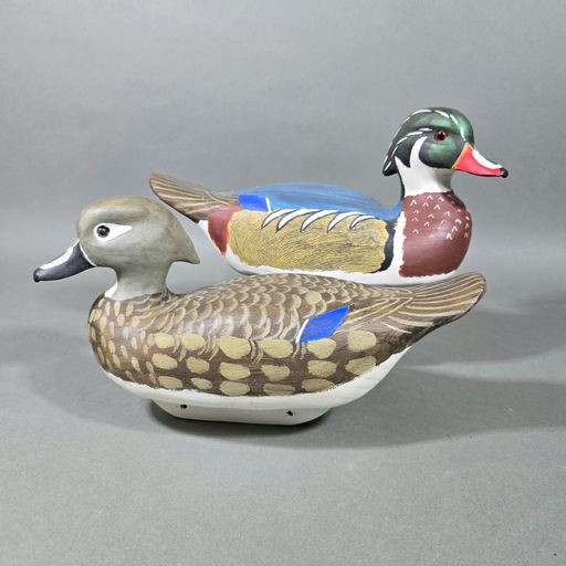 Herb Daisey – Wood duck – 2026