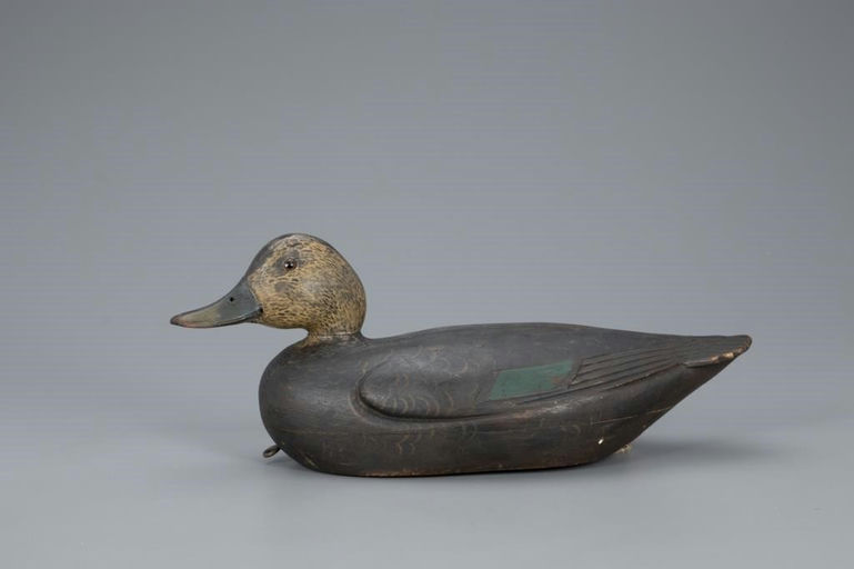 Charles Hart – Black Duck – 2020