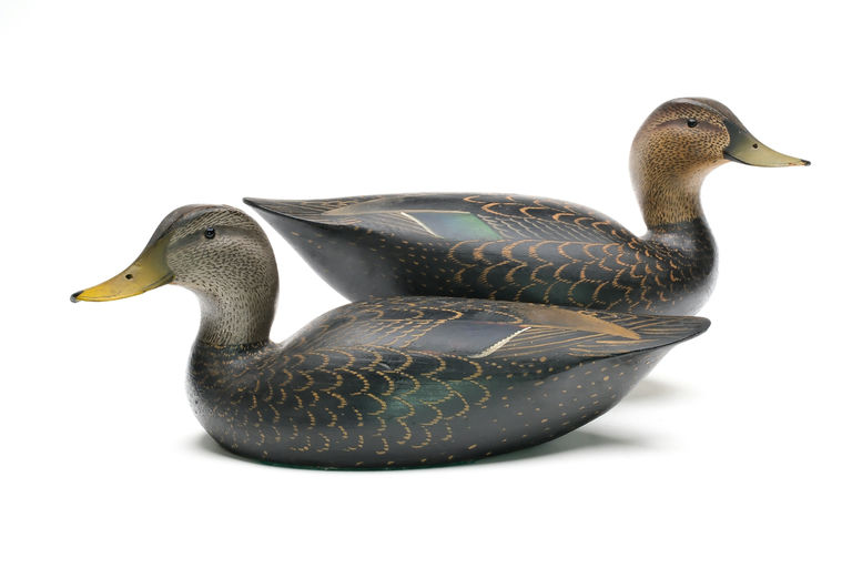 Ward Brothers – Pair of Black Duck – 2026