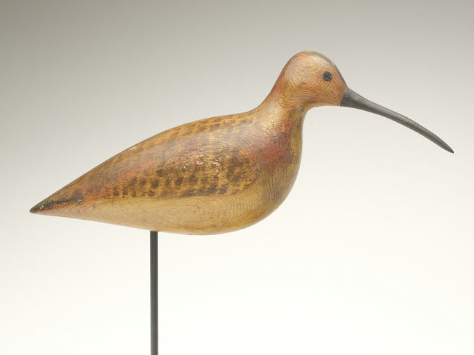 Harry V. Shourds – Curlew – 2023
