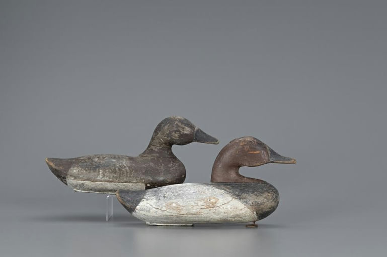 Edmund B. Hardcastle – Early Canvasback Pair – 2019
