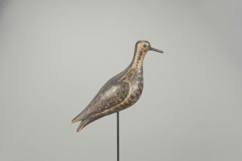 Joseph Lincoln – Golden Plover – 2022