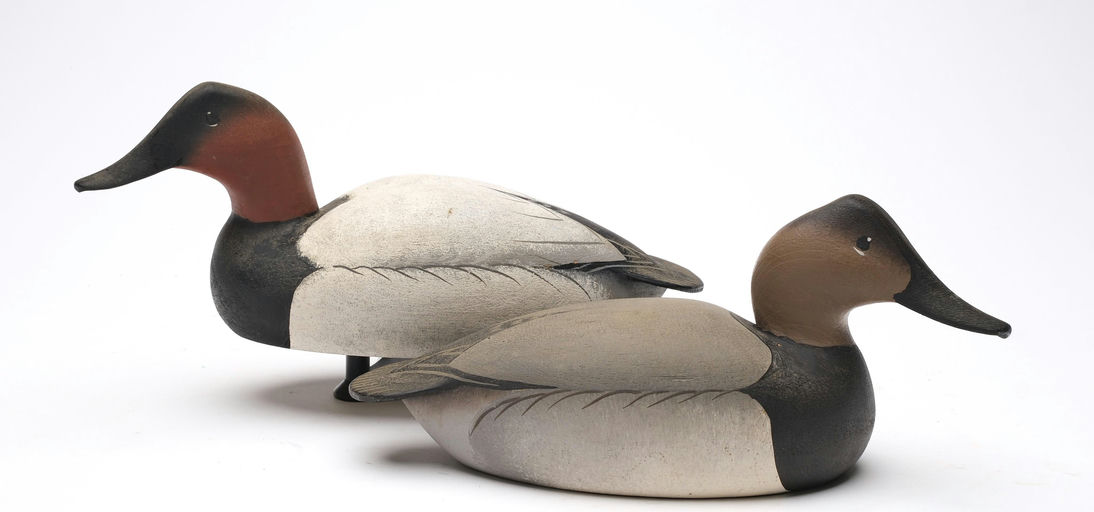 Oliver Lawson – Pair of Canvasback – 2026