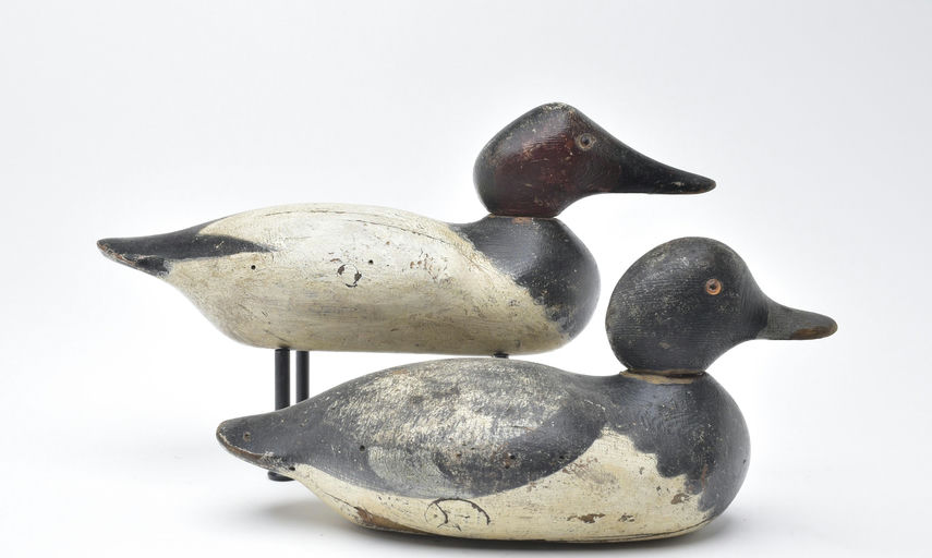 Mason Decoy Factory – Canvasback – 2025