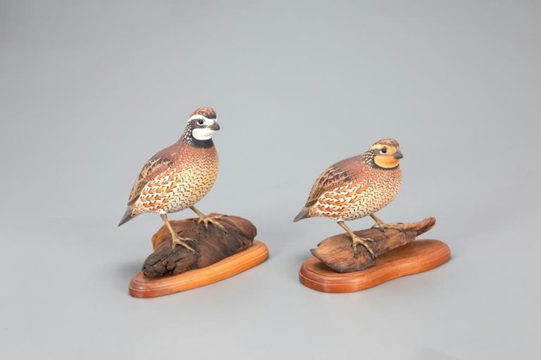 Oliver Lawson – Quail Pair – 2021