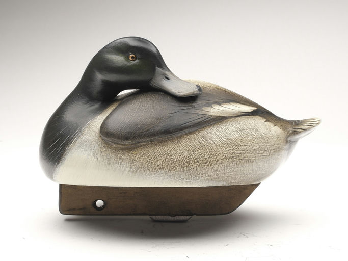 Jim Schmiedlin – Preening Bluebill – 2023