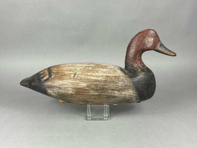 Doug Jester – Canvasback – 2026