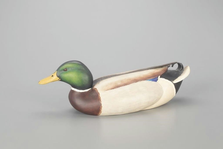 Leo McIntosh – Mallard – 2023