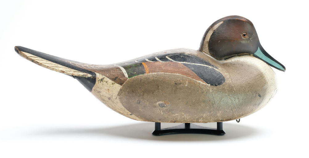 Ward Brothers — Pintail