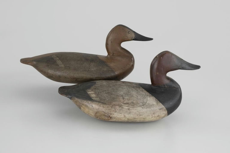 Taylor Boyd – Canvasback Pair – 2026