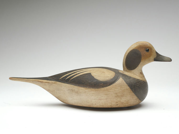 Mark McNair – Longtail duck – 2023