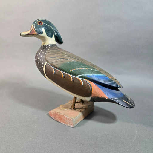 Judson Juddy Budd – Wood Duck – 2026